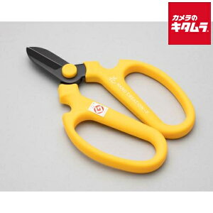 ⌹ Ԃ͂ nhNG[V F170 CG[ Ep n 83142