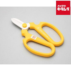 ⌹ Ԃ͂ nhNG[V F170 CG[ Ep 13142