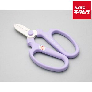 ⌹ Ԃ͂ nhNG[V F170 x_[ Ep 20142