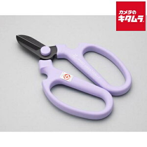 ⌹ Ԃ͂ nhNG[V F170 x_[ Ep n 82142