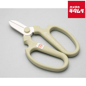 ⌹ Ԃ͂ nhNG[V F170 AgXO[ Ep 43142