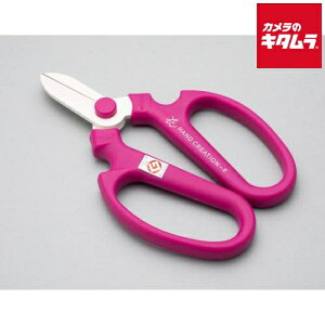 ⌹ Ԃ͂ nhNG[V F170 oCIbg Ep 50142