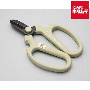 ⌹ Ԃ͂ nhNG[V F170 AgXO[ Ep n 67142