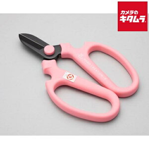 ⌹ Ԃ͂ nhNG[V F170 sN Ep n 81142