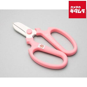 ⌹ Ԃ͂ nhNG[V F170 sN p 11142