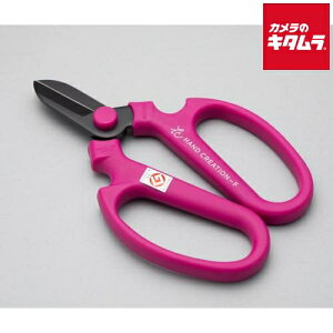 ⌹ Ԃ͂ nhNG[V F170 oCIbg Ep n 59142 s[2|3Tԁt