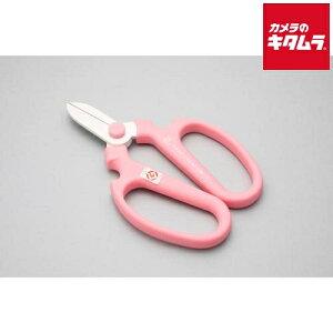 ⌹ Ԃ͂ nhNG[V F170 sN Ep 10142