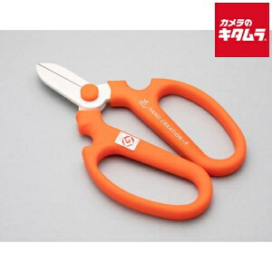 ⌹ Ԃ͂ nhNG[V F170 IW Ep 41142