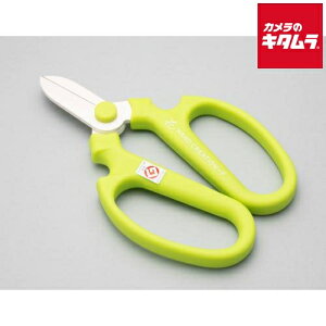 ⌹ Ԃ͂ nhNG[V F170 CO[ Ep 02142