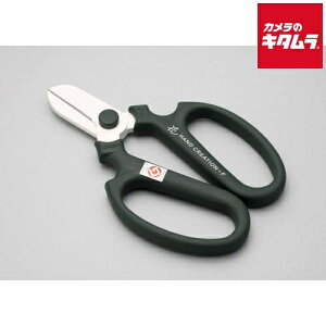 ⌹ Ԃ͂ nhNG[V F170 XO[ p 95142