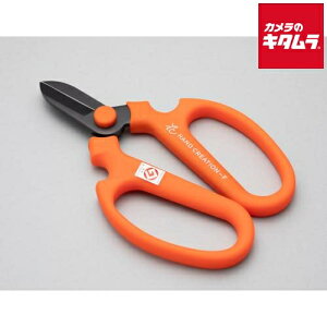 ⌹ Ԃ͂ nhNG[V F170 IW Ep n 49142