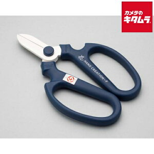 ⌹ Ԃ͂ nhNG[V F170 u[ Ep 70142