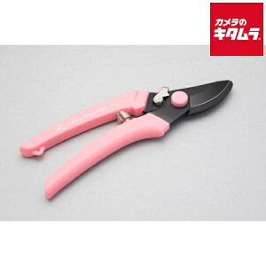 ⌹ ͂ nhNG[V P180 sN Ep n 81145