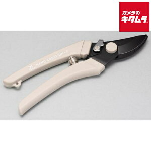 ⌹ ͂ nhNG[V P180 EH[O[ n Ep