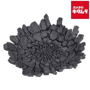 �o���_�C�X�s���b�c ��EFFECT IMPACT Gray Ver. for S.H.Figuarts �D �s2026�N10�������\��t