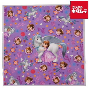 ヤクセル おにぎりが包める おにぎりラップ 18枚入り 3柄×6枚 ソフィア