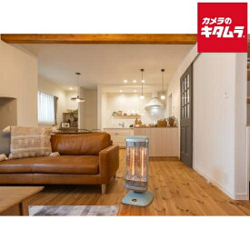 アラジン 遠赤グラファイトヒーター(2灯管) グリーン CAH-2G10G-G 正規販売店 暖房 寒さ対策 エコ 新生活 おしゃれ レトロ