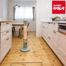 アラジン 遠赤グラファイトヒーター(1灯管) グリーン CAH-1G9E-G 暖房 寒さ対策 エコ 新生活 おしゃれ レトロ