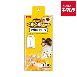 }J S[S[邭 p[v 2 s[2Tԁt