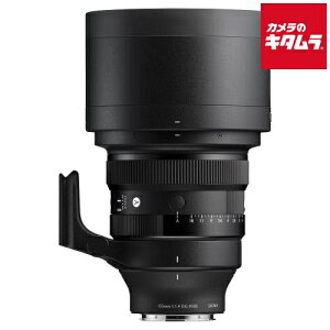 VO} 135mm F1.4 DG Art L}Egp s[t