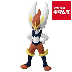 ^Jg~[ |PbgX^[ R MS-35 G[Xo[ s[1|2Tԁt