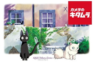 GXJC 300-271 ̑} WO\[pY300s[X WWƃ[ s[t