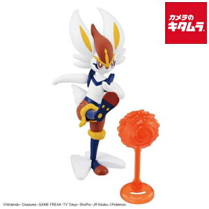 o_C |PvRNV NO.50 ZNgV[Y G[Xo[ s[1|2Tԁt