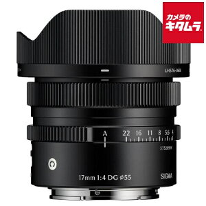 �V�O�} 17mm F4 DG Contemporary �\�j�[E�p �s�[������t