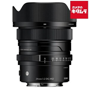 �V�O�} 24mm F2 DG Contemporary �\�j�[E�p �s�[������t