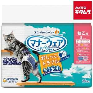 jE`[ }i[EFA lRp STCY 38 s[2Tԁt