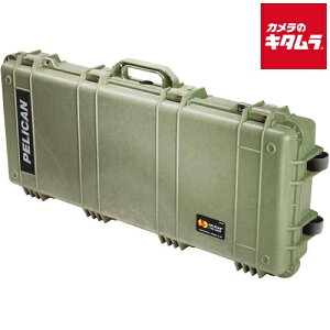 �y���J�� 017000-0010-130 �v���e�N�^�[�P�[�X 43L OD�O���[�� �t�H�[���i�V