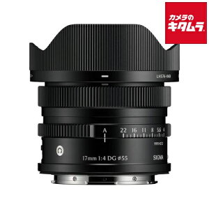 VO} 17mm F4 DG DN Contemporary L}Egp ubN s[t