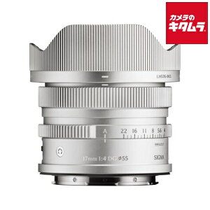 VO} 17mm F4 DG DN Contemporary L}Egp Vo[ ~[X AF LpPœ_ Y Y JY s[t