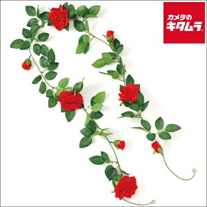 A[ebN 75214 tFCNO[ K[h o 