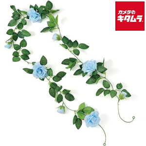 A[ebN 75215 tFCNO[ K[h o 