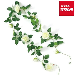 A[ebN 75216 tFCNO[ K[h o 