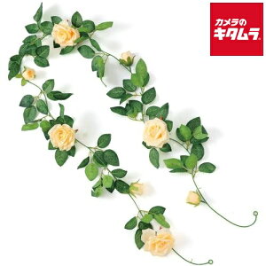 A[ebN 75217 tFCNO[ K[h o IW