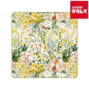 PGYTECH P-CB-147 bsONX (t[) MTCY