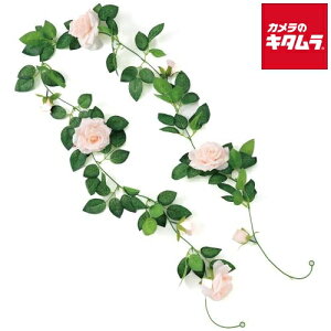 A[ebN 75218 tFCNO[ K[h o sN