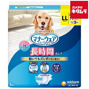 jE`[ }i[EFA ԗpIc LLTCY 5 s[2Tԁt