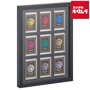 nNo FWTCG-01 g[fBOJ[hz TCG-01 35pt×9 ubN