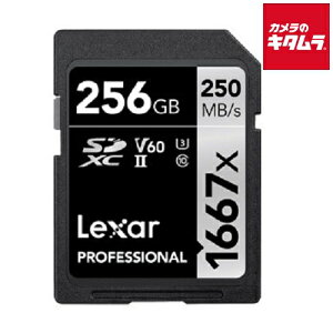 LT[ LSD256CBJP1667 SDXCJ[h 256GB 1667x UHS-II U3 V60