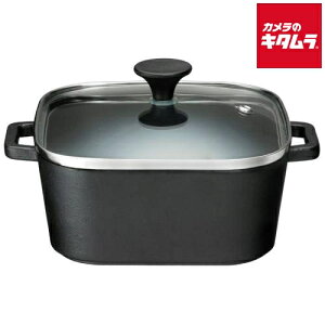 CVKLY XNGA|bgKXWt fbVECt COLO 4235 s[2Tԁt