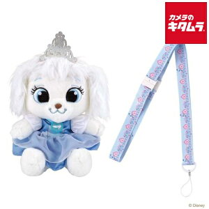 o_C ~&\ ł悤 Cybg pvL