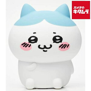 pNX 탋[Cg n` 393-PXXP046 V v[g Mtg Vv  ii