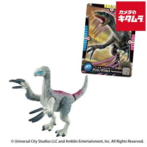 ^Jg~[ AjA WVbNE[h eWmTEXiAjAogJ[htj s[1|2Tԁt