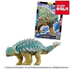 ^Jg~[ AjA WVbNE[h ALTEXiAjAogJ[htj s[1|2Tԁt