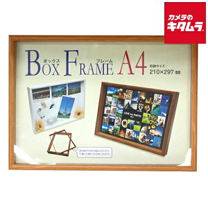  105-238 Boxt[ A4̊z tHgt[ CguE