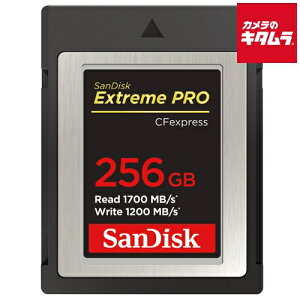 TfBXN SDCFE-256G-JN4NN GNXg[v CFexpress TypeB J[h 256GB s[1t