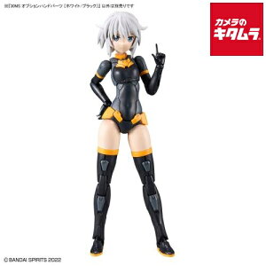 o_C 30MS IvVnhp[c zCg/ubN ėp s[1|2Tԁt